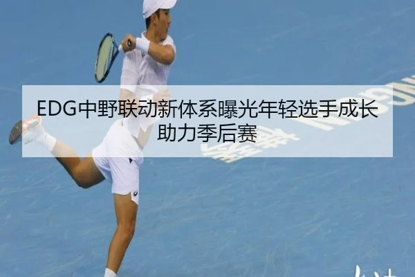 EDG中野联动新体系曝光年轻选手成长助力季后赛